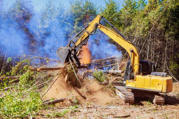 Fort Worth Land Clearing